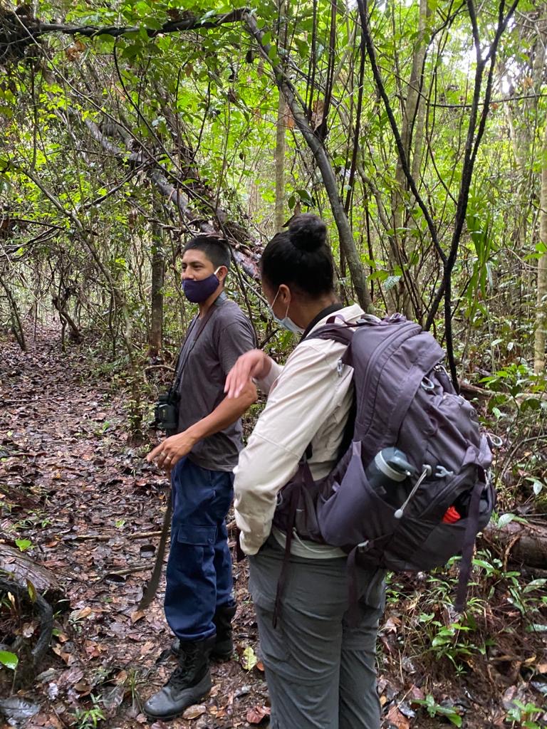 Tracking a howler troop with a local field partner.