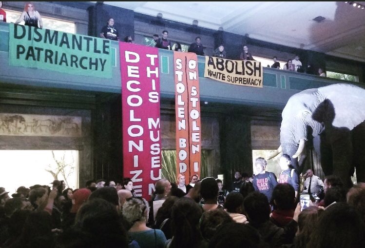 Decolonize This Museum action, American Museum of Natural History
