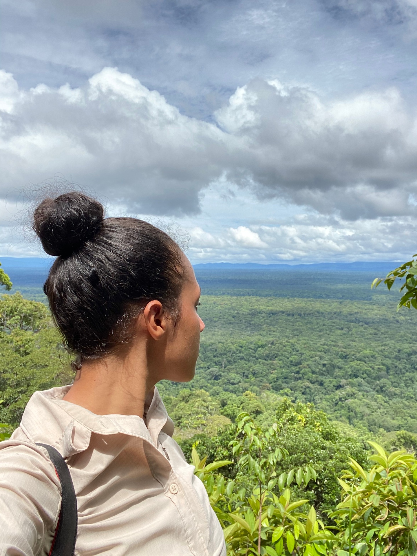 Unbroken rainforest canopy of the Guiana Shield seen from above, the landscape where Cynthia's fieldwork on forests and rivers takes place.