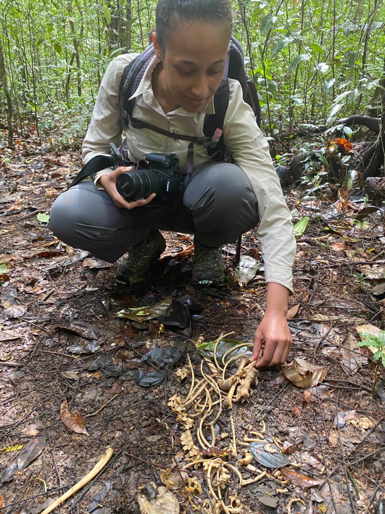 Documenting bones on the forest floor, Guyana.